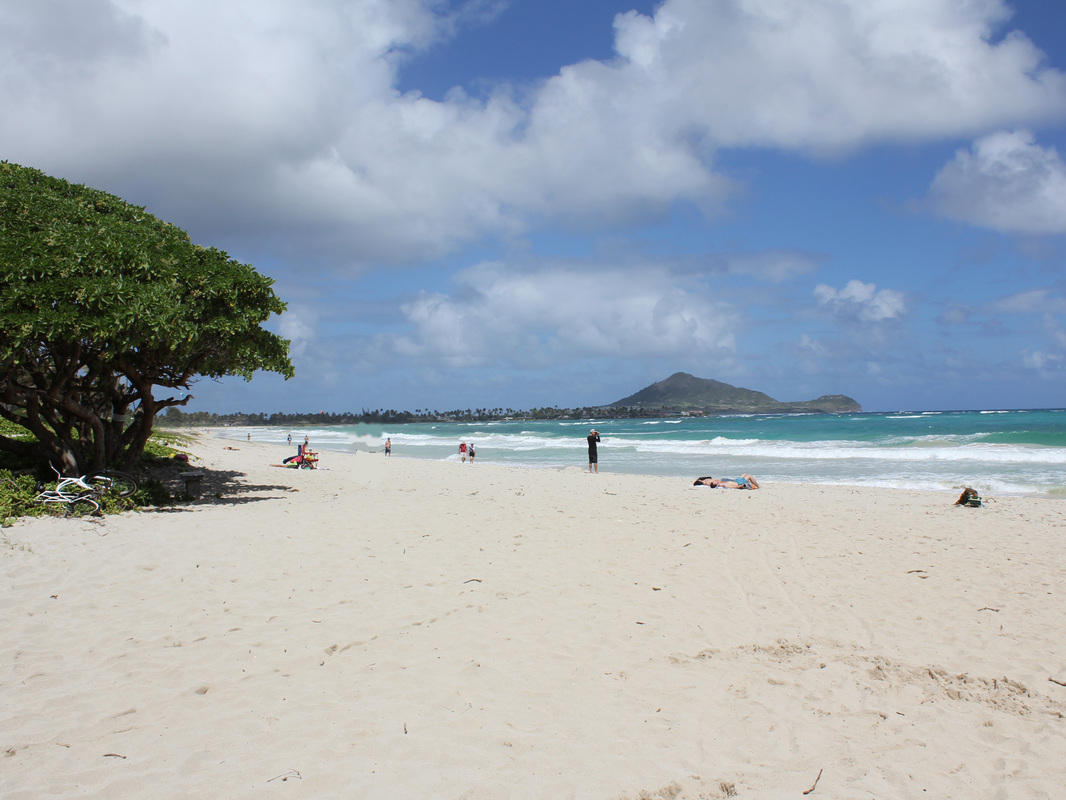 Hawaii Vacation Rentals